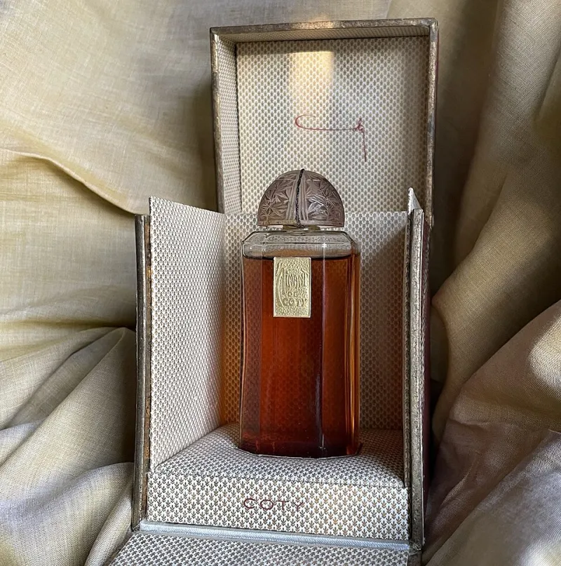 Dressed in Petals & Smoke: The Perfume Collectors Building Wardrobes You Can Almost Smell