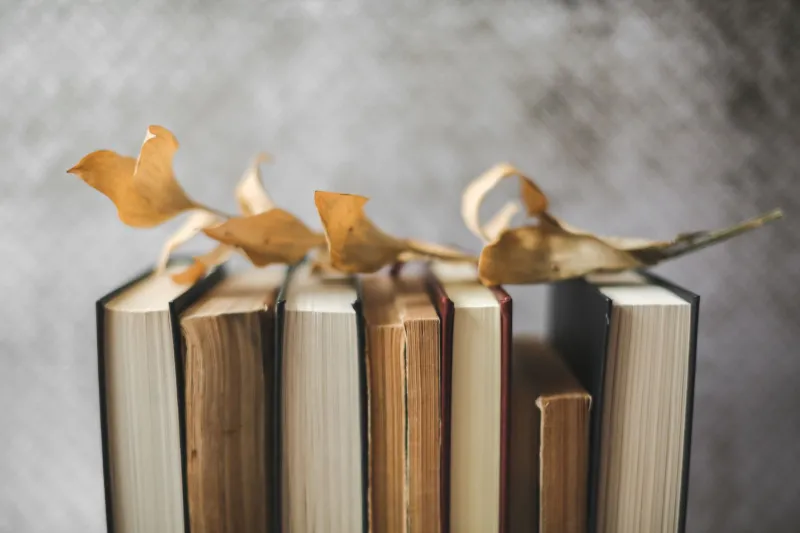 Read Between the Seams: The Book Lovers Dressing Themselves in Forgotten Libraries